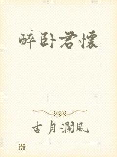 醉卧君怀封面