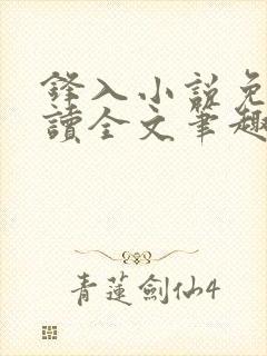 锋入小说免费阅读全文笔趣阁封面