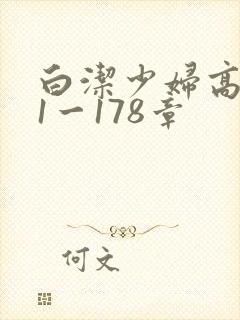 白洁少妇高义第1一178章
