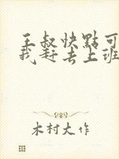 王叔快点可以吗我赶去上班