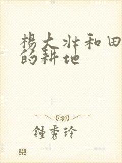 杨大壮和田桂花的耕地