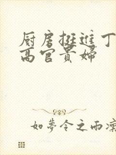 厨房挺进丁字裤高官贵妇