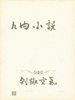 h肉小说