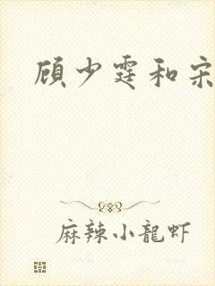 顾少霆和宋斯曼
