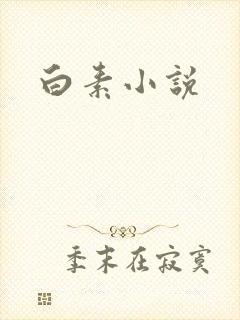 白素小说