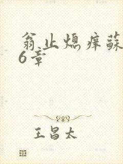 翁止熄痒苏玥第6章