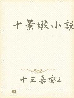 十景缎小说