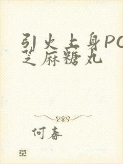 引火上身POP芝麻糖丸