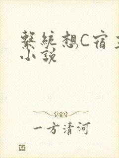 系统想C宿主的小说