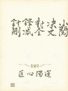 针锋对决小说未删减全文阅读