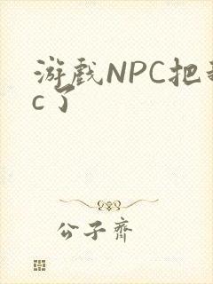游戏NPC把我c了