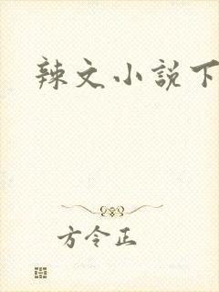 辣文小说下载