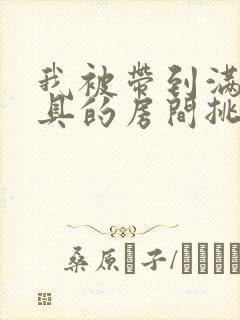 我被带到满是玩具的房间挑调作文