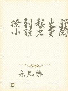 撩到起火舒漾的小说免费阅读全文封面