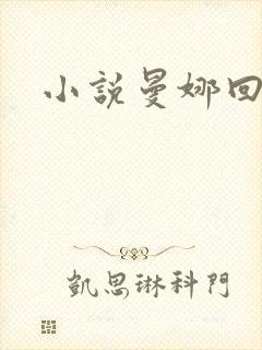 小说曼娜回忆录封面