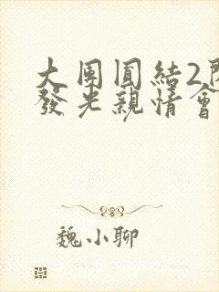 大团圆结2闪闪发光亲情会