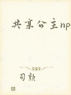 共享公主npc