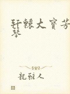 轩辕大宝芳菲雅琴