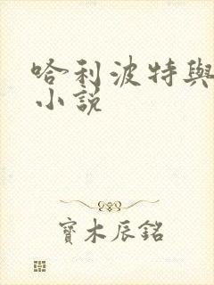 哈利波特与密室小说