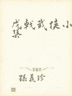 戊戟武侠小说全集封面