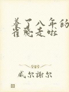 养了八年的金丝雀飞走啦