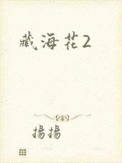 藏海花2
