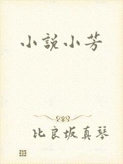 小说小芳