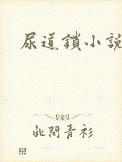 尿道锁小说封面