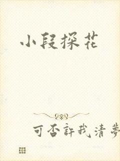 小段探花