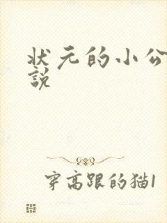 状元的小公主小说