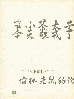 宁小茶太子殿下今天破戒了吗免费阅读