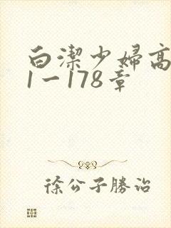 白洁少妇高义第1一178章封面
