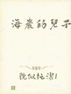 海岩的儿子