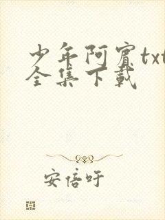 少年阿宾txt全集下载封面