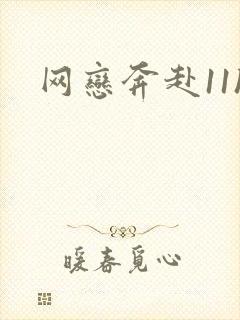 网恋奔赴11h