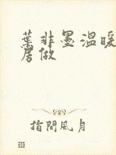 叶非墨温暖在厨房做