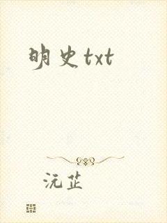 明史txt封面