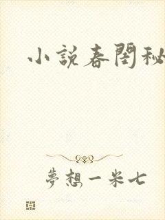 小说春闺秘史封面