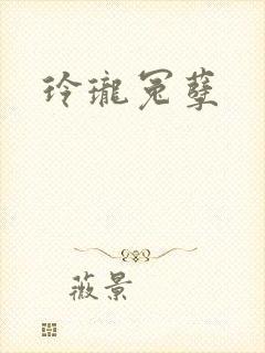 玲珑冤孽