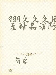 999久久久国产精品消防器材封面