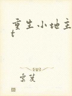 重生小地主txt封面