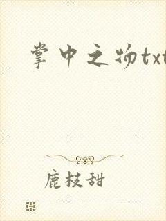 掌中之物txt