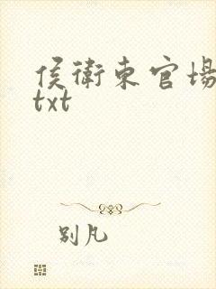 侯卫东官场笔记txt封面