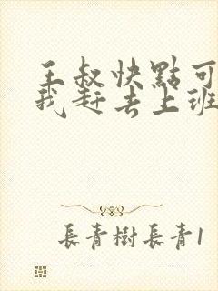 王叔快点可以吗我赶去上班封面