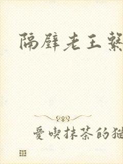 隔壁老王系统封面