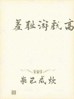 羞耻游戏高h封面