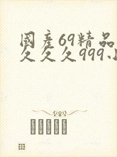 国产69精品久久久久999小说