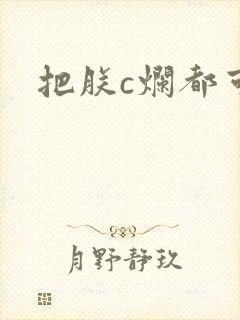 把朕c烂都可以