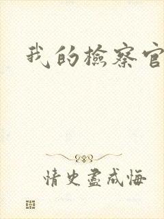 我的检察官先生封面