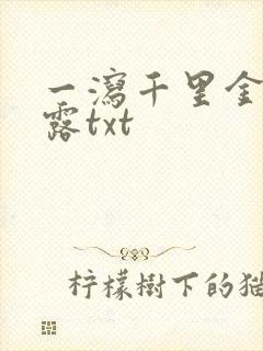 一泻千里金银花露txt
